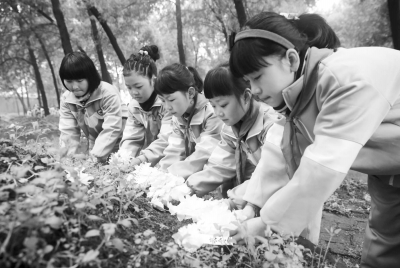 88858cc永利官网(中国)有限公司