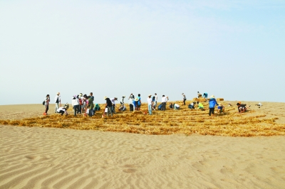 88858cc永利官网(中国)有限公司